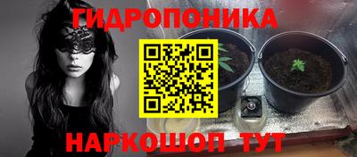 2c-b Лесосибирск