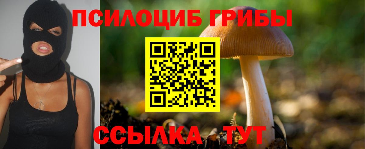 Галлюциногенные грибы Psilocybe  Вход с VPN  Грязи 
